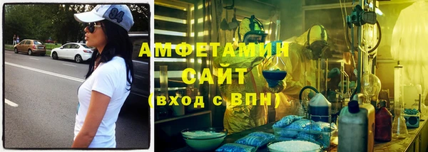индика Арсеньев