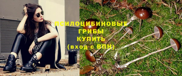 гидропоника Аркадак