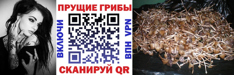 Галлюциногенные грибы MAGIC MUSHROOMS  Талдом 